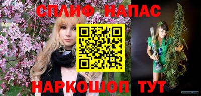 прущие грибы Лесосибирск