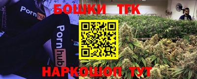 прущие грибы Лесосибирск