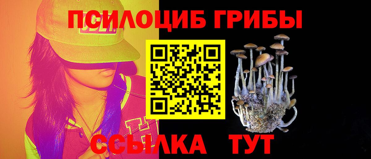 Псилоцибиновые грибы Psilocybine cubensis Партизанск