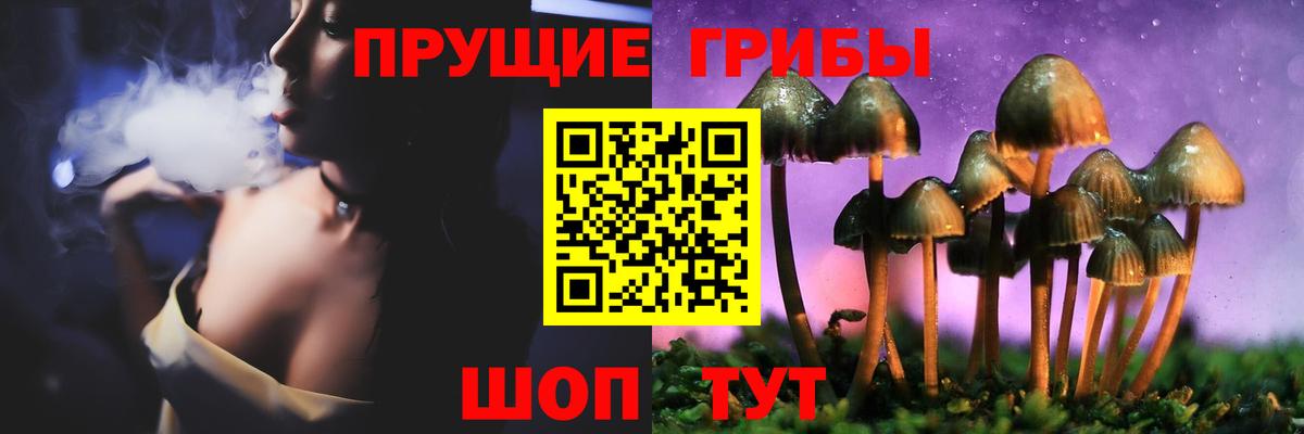 Галлюциногенные грибы Psilocybine cubensis  Вход с VPN  Партизанск 